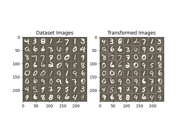 Dataset Images, Transformed Images
