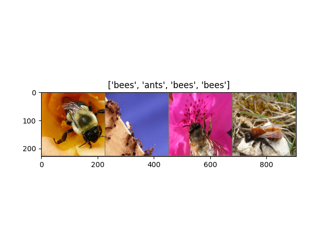 ['bees', 'ants', 'bees', 'bees']